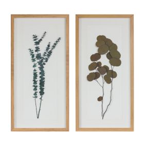 Dried Eucalyptus Frame (Set of 2)